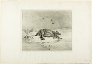 Død hest af Jean Louis André Théodore Géricault