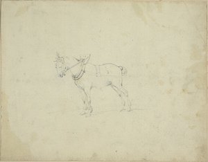Trækhest af Jean Louis André Théodore Géricault