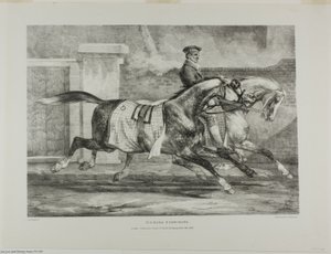 Horses Exercising, planche 6 fra Various Subjects Drawn from Life and on Stone (The English Suite) af Jean Louis André Théodore Géricault