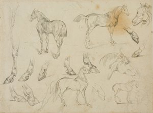 Skitser af en hest af Jean Louis André Théodore Géricault
