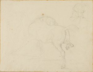 Studie af en hest, der drejer hovedet og løfter bagbenet af Jean Louis André Théodore Géricault