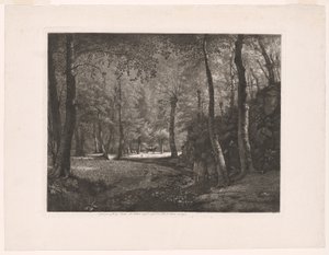 Skoven ved Rochecardon