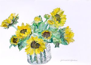 Sunflowers, 2007 (akvarel og blæk på papir)