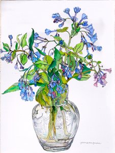 Virginia Blue Bells in Narrow Necked Vase, 2006 (akvarel og blæk på papir)