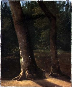 Study of Trees, c.1815 (olie på papir) af Jean Victor (attr. to) Bertin