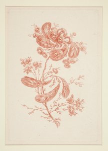 Uden titel (Ideelle blomster), fra et sæt på seks