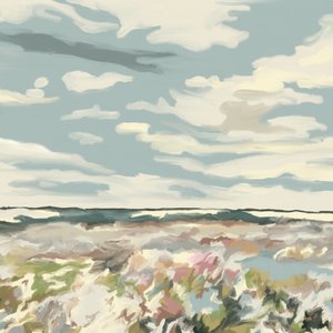 Sandblomster Hav Himmel