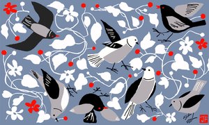 Birdy af Jenny Frean