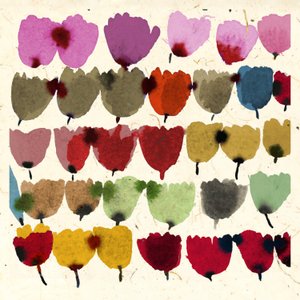 BLÆGTIGE TULIPANER af Jenny Frean