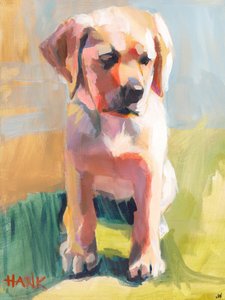 Hank af Jenny Westenhofer