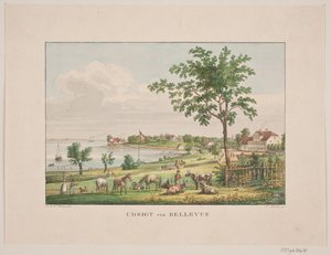 Udsigt ved Bellevue