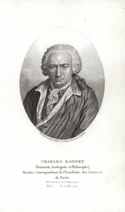 Charles Bonnet af Jens Juel