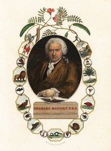 Portræt af Charles Bonnet, Genevanske naturforsker.1803 (gravering) af Jens Juel
