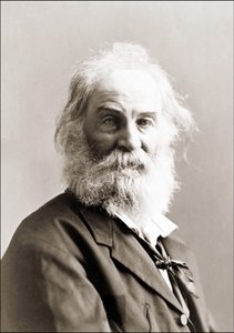 Portræt af Walt Whitman (1819 - 1892) af Gurney mellem 1880 og 1890.