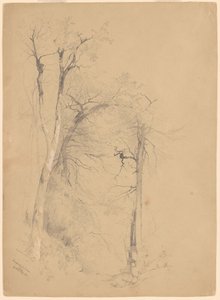 Kaaterskill nellike af Jervis McEntee