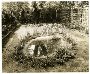 Garden of Mrs W H Wells 265 W 11th, Greenwich Village, New York, USA, ca. 1936-37 (foto af gelatinesølv) af Jessie Tarbox Beals