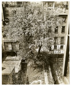 Mrs W H Wells 265 W 11 af Jessie Tarbox Beals
