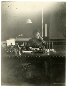 Ms Chas Netcher fra Chicago, ejer af en af de største butikker The Boston Store der. Hun er nu gift igen, find hendes navneændring Mollie Alpiner Netcher Newbury, ca. 1905-18 (foto af gelatinesølv) af Jessie Tarbox Beals