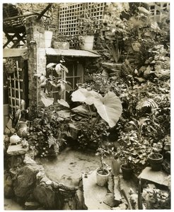 Swimmingpool med udsigt til George og Mary Stonehills terrasse, Greenwich Village, New York, USA, ca. 1936-37 (gelatinsølvfoto) af Jessie Tarbox Beals