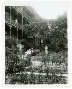 Rhinelander House gardens, W 11th St, Greenwich Village, New York, USA, ca. 1905-38 (foto af gelatinesølv) af Jessie Tarbox Beals