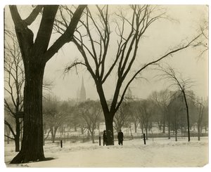 The Common, Boston, USA, ca. 1902-10 (foto af gelatinesølv) af Jessie Tarbox Beals