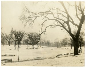 The Common, Boston, USA, ca. 1902-10 (foto af gelatinesølv) af Jessie Tarbox Beals