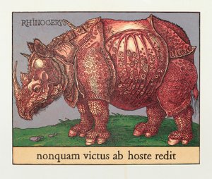 Red Rhino, 2007 (træsnit) af Jim Monson