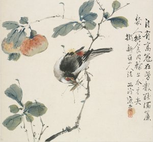 En kinesisk Hwamei spiser en græshoppe, 1857