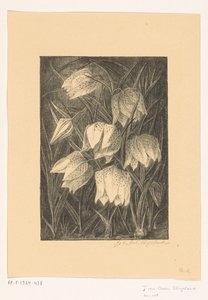 Vibe blomster af Jo van Oosten Slingeland (signed by artist)