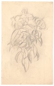 Blomsterstudie af Joakim Frederik Skovgaard