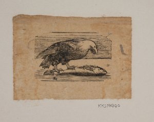 En ørn af Joakim Frederik Skovgaard