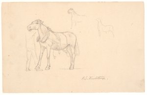Tre studier af en hest af Joakim Frederik Skovgaard
