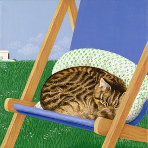 Tabby kat sover i en liggestol