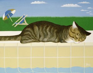Tabby kat ved en pool