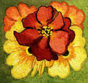 Fem primula, rød, gul og orange (akvarel) af Joan Thewsey