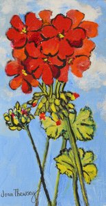 Geranium Spray,2017, (akryl) af Joan Thewsey
