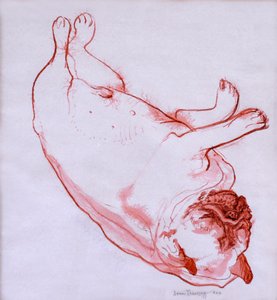 Hogarth Sleeping, 2005, (blæk på vådt papir) af Joan Thewsey