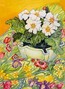 Bleg primula i en potte med forårsblomstret tekstil, 2000