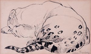 Sketch, Leopard, London Zoo 2005, (pen og blæk) af Joan Thewsey