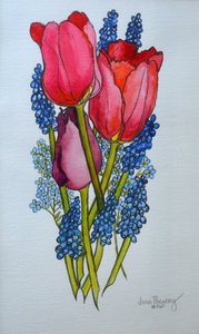 Tulipaner, muscari og forglemmigej, 2002, af Joan Thewsey