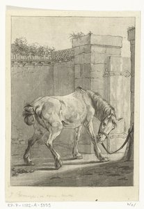 En hest bundet til en stolpe