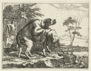 To parrende hunde Hunde (serietitel)