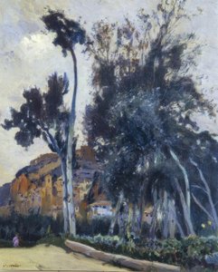 Miravet af Joaquim Mir i Trinxet