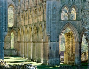 Rievaulx Abbey, c1990-2010 af Joe Cornish