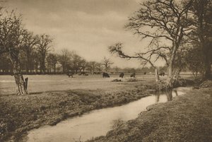 Hvor Beverley Brook snor sig gennem The Royal Hunting Park of Richmond, c1935.