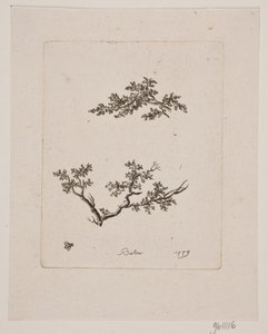 Til trægrene af Johan Bülow