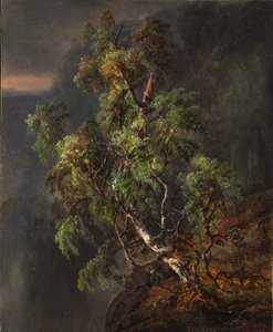 Birketræ i stormvejr af Johan Christian Dahl