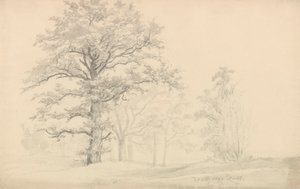 Løvtræer af Johan Christian Dahl