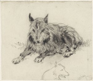 Tilbagelænet fårehund