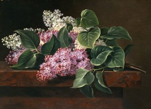 lilla på en afsats, af Johan Laurents Jensen